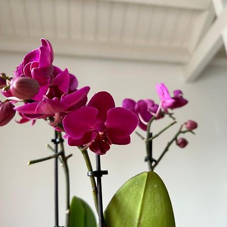 A Due Passi Da Apartment Corato Ngoại thất bức ảnh