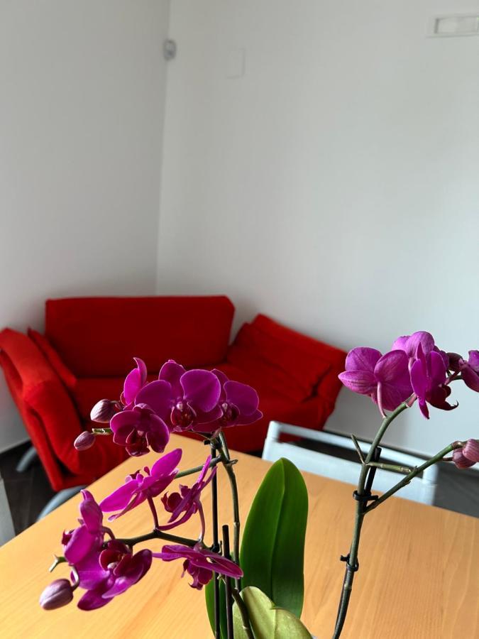 A Due Passi Da Apartment Corato Ngoại thất bức ảnh